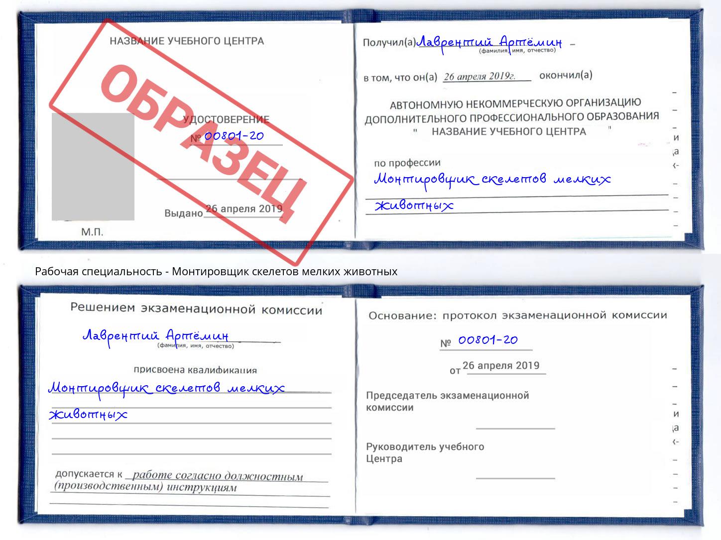 Монтировщик скелетов мелких животных Ярославль
