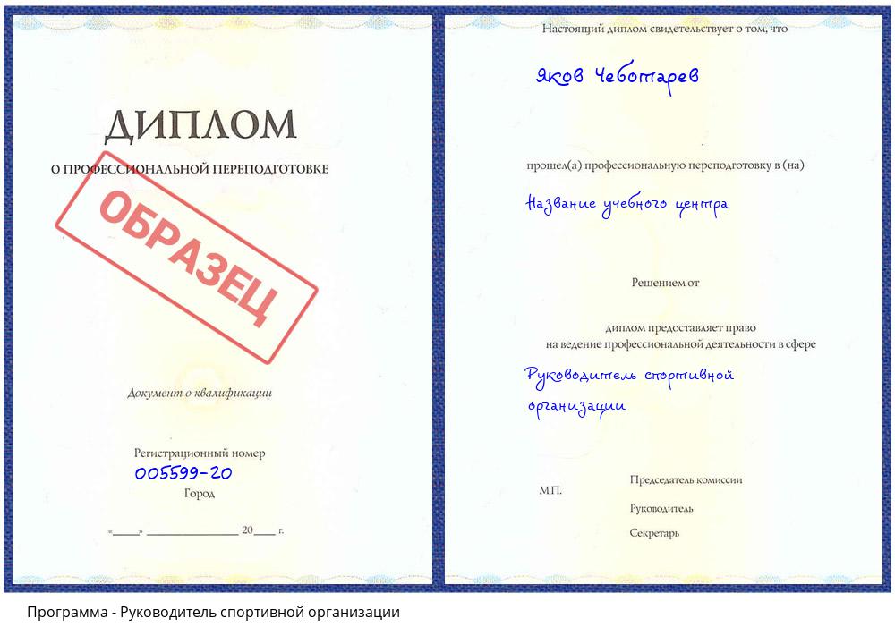 Руководитель спортивной организации Ярославль