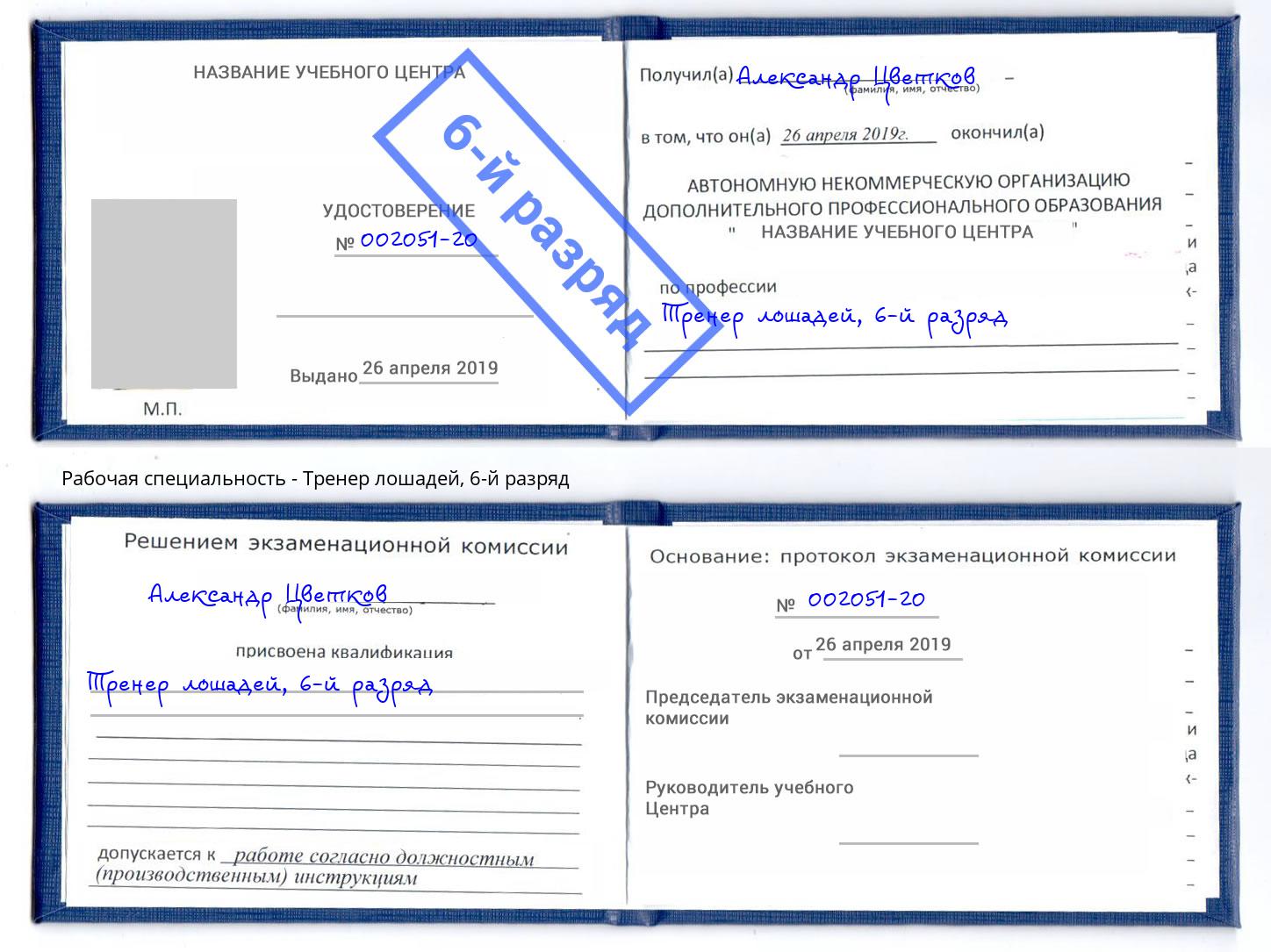 корочка 6-й разряд Тренер лошадей Ярославль