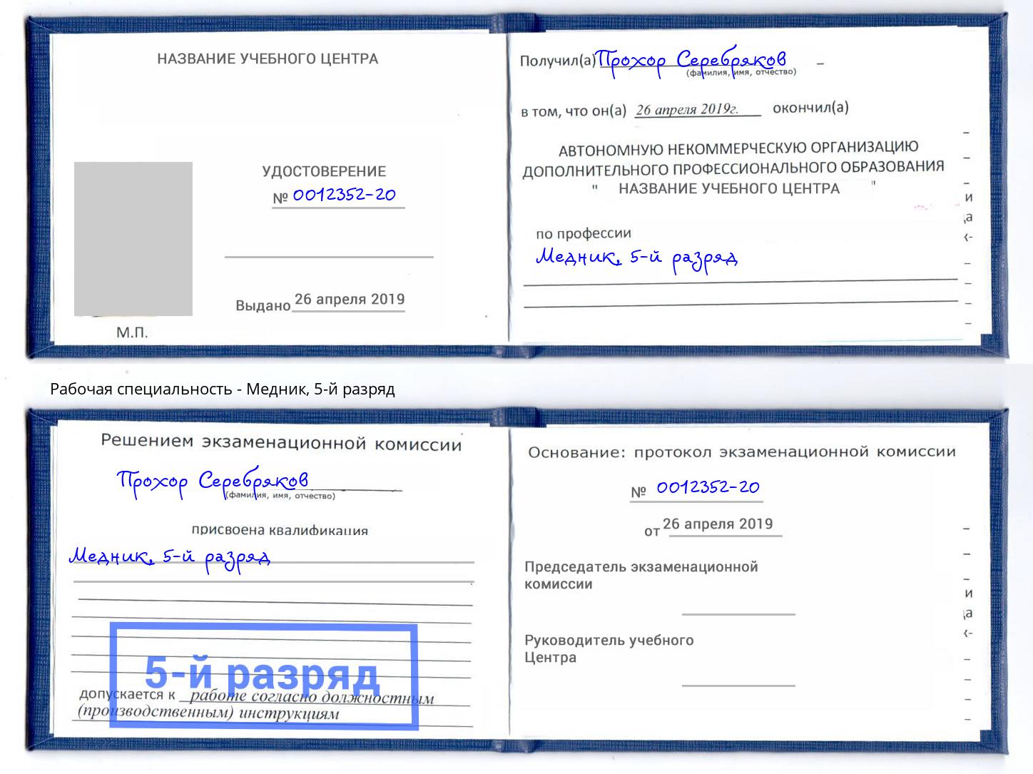корочка 5-й разряд Медник Ярославль